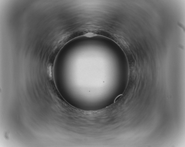 X0000096430042200801241348