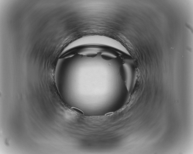 X0000096430045200801241348