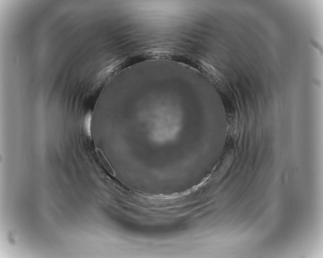 X0000096430047200801241348