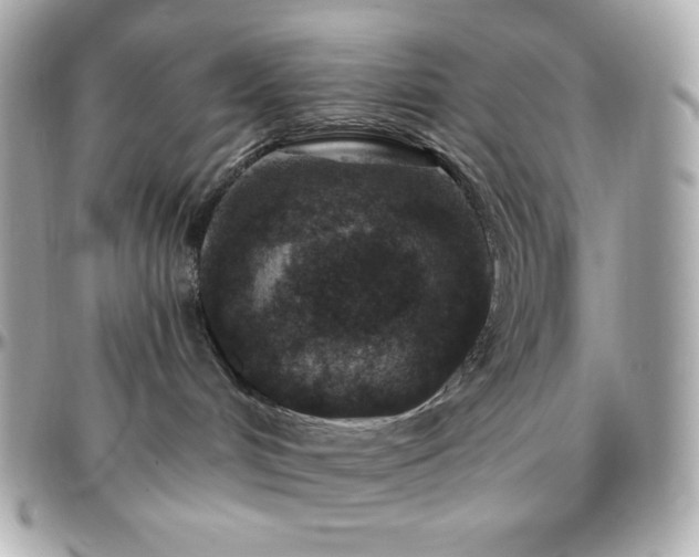 X0000096430048200801241348