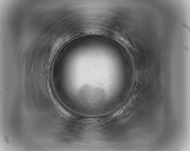 X0000096430049200801241347