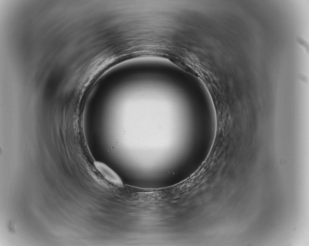 X0000096430050200801241347