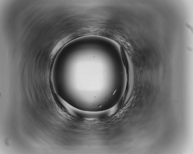 X0000096430051200801241347