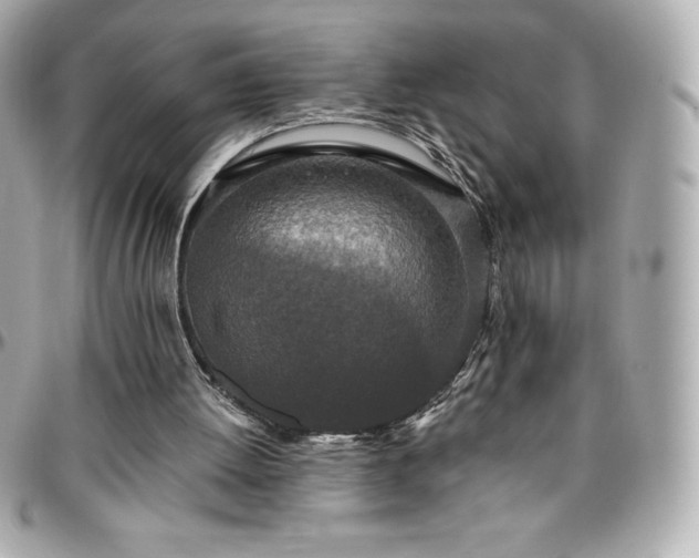 X0000096430052200801241347