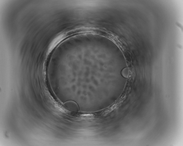 X0000096430053200801241347