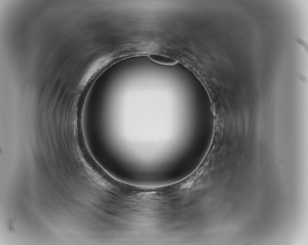 X0000096430054200801241347