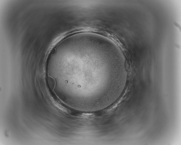 X0000096430055200801241347