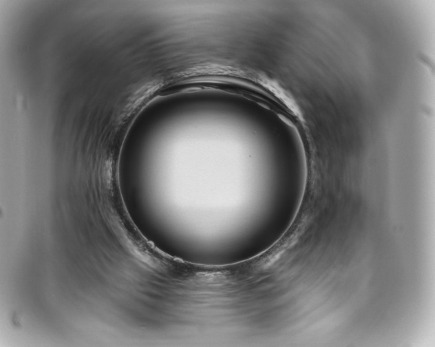X0000096430057200801241347