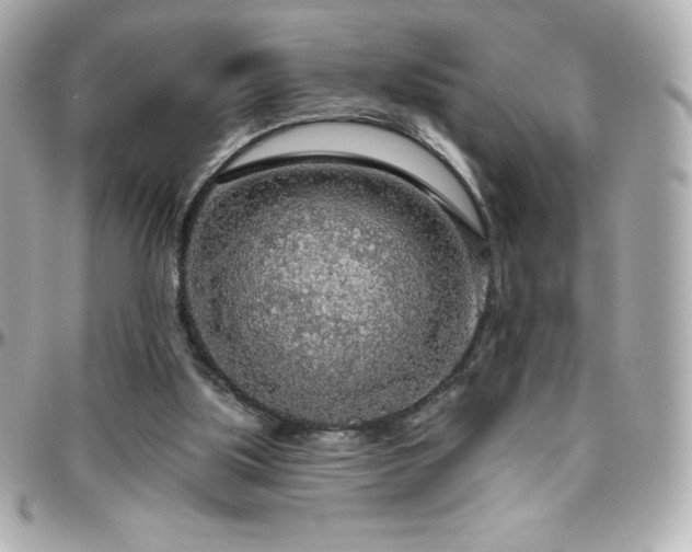 X0000096430059200801241347