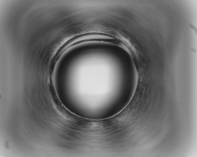 X0000096430060200801241347