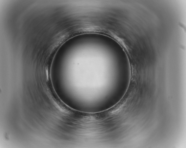 X0000096430061200801241347