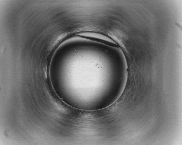 X0000096430062200801241347