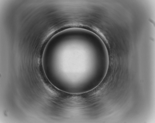 X0000096430063200801241347