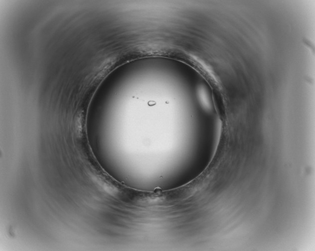 X0000096430065200801241347