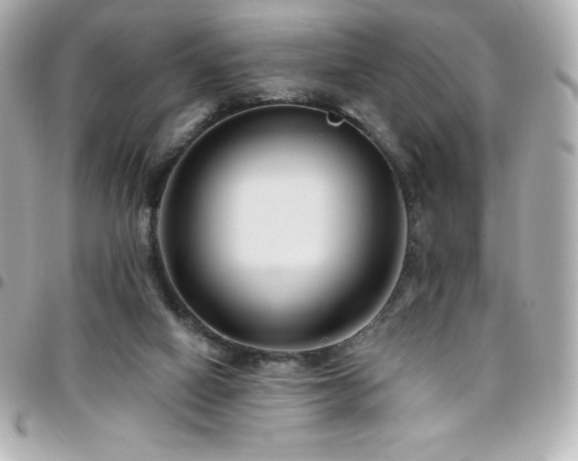 X0000096430066200801241347