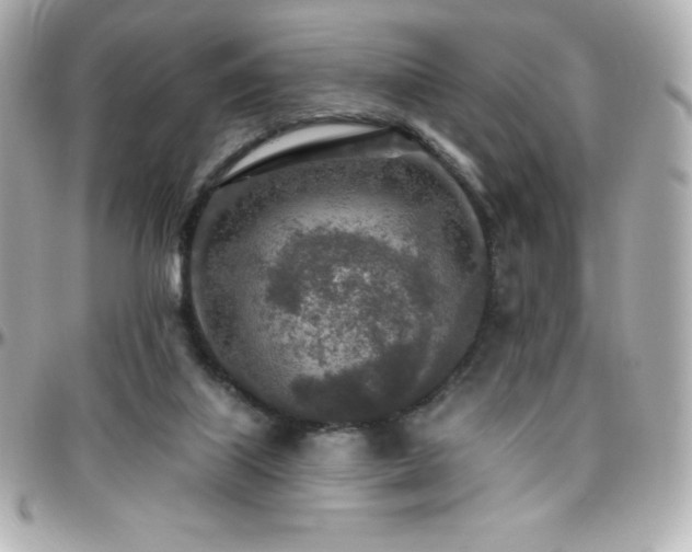 X0000096430067200801241347