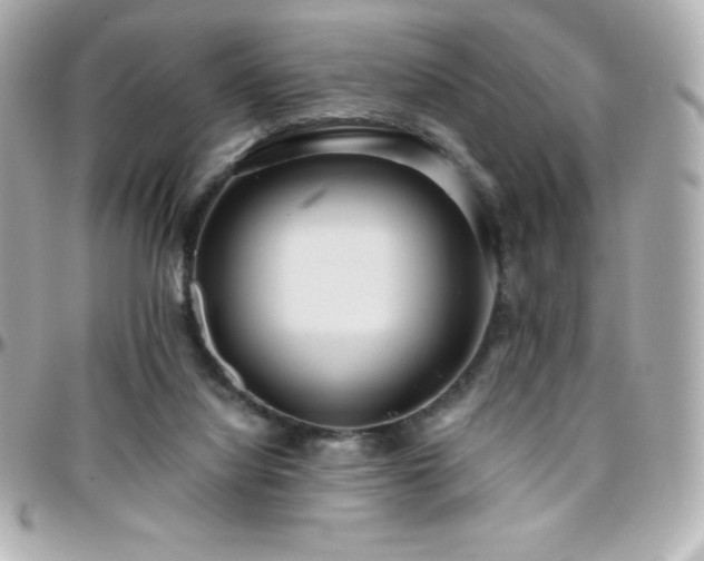 X0000096430068200801241347