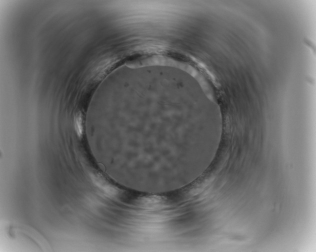 X0000096430069200801241347