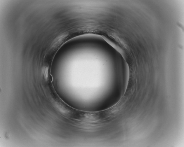 X0000096430070200801241348