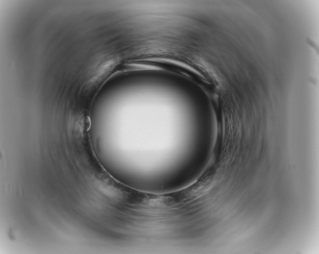 X0000096430072200801241348