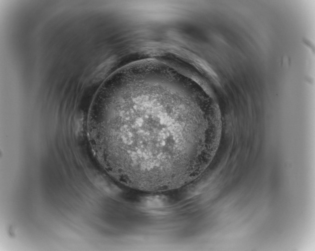 X0000096430073200801241348