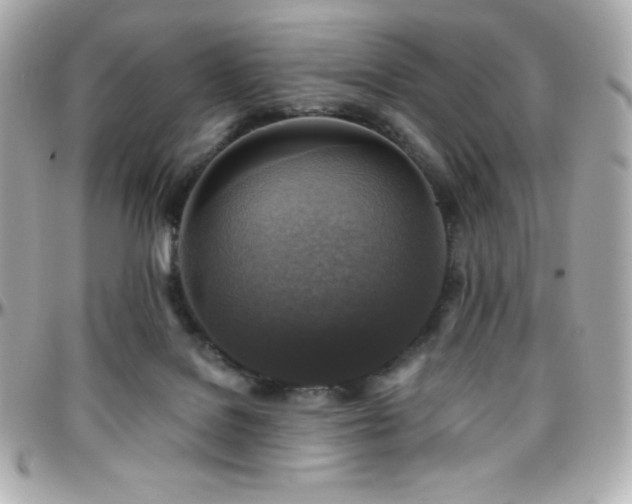 X0000096430076200801241348