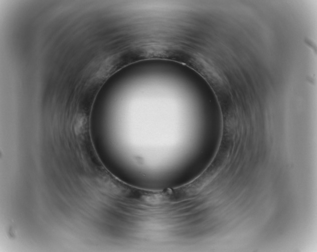 X0000096430079200801241348