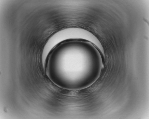 X0000096430080200801241348