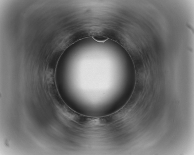 X0000096430083200801241348
