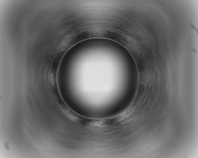 X0000096430086200801241348