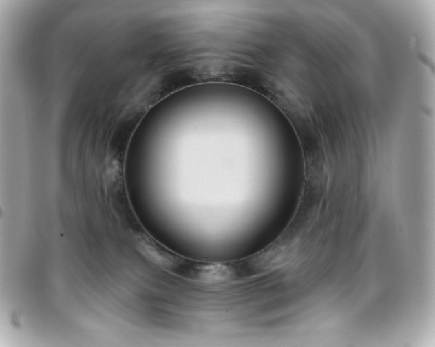 X0000096430087200801241348