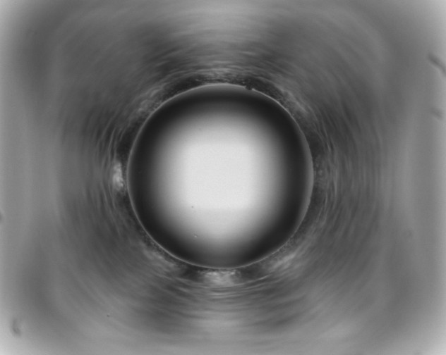 X0000096430089200801241348