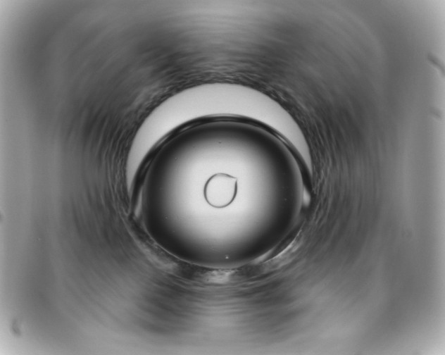 X0000096430090200801241348