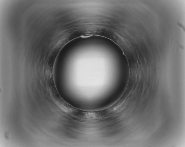 X0000096430091200801241348
