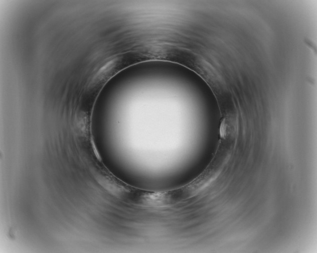 X0000096430092200801241348