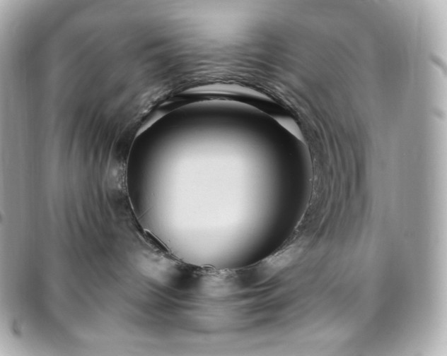 X0000096430096200801241348
