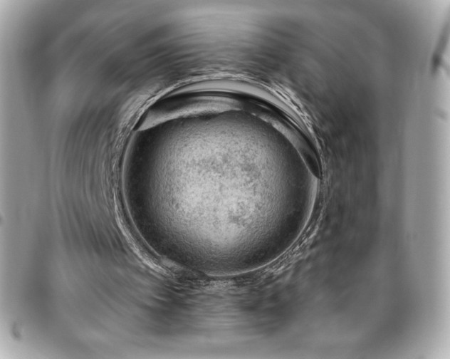 X0000096430097200801241347