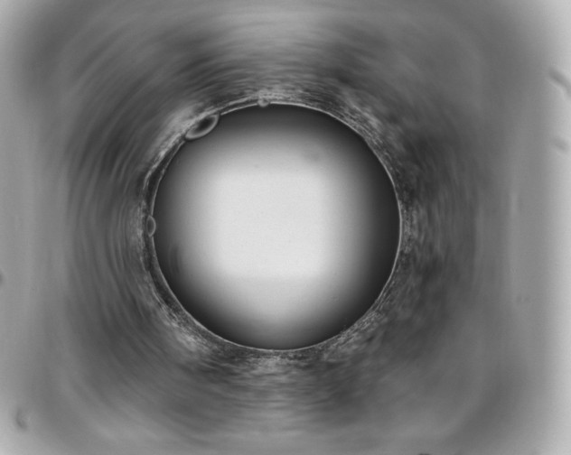 X0000096430098200801241347