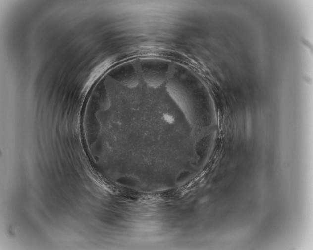 X0000096430099200801241347