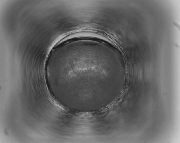 X0000096430100200801241347