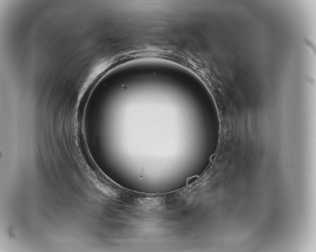 X0000096430102200801241347