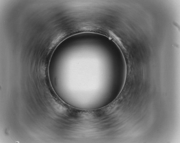 X0000096430106200801241347
