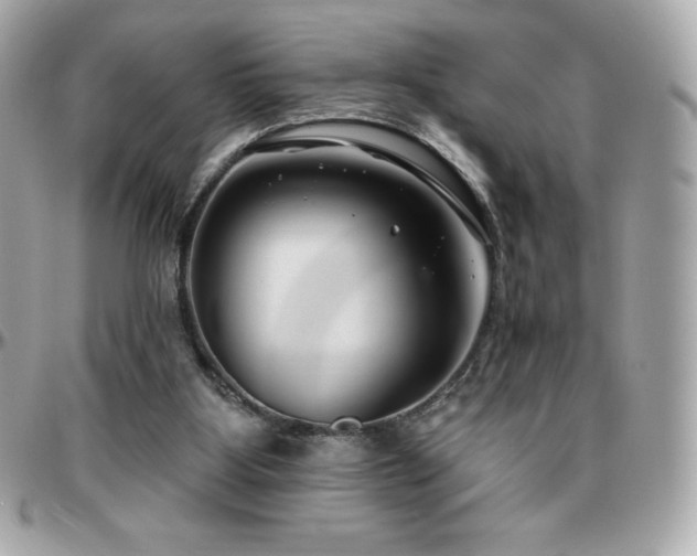 X0000096430107200801241347