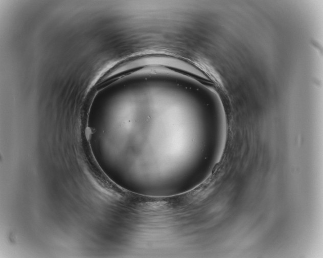 X0000096430108200801241347