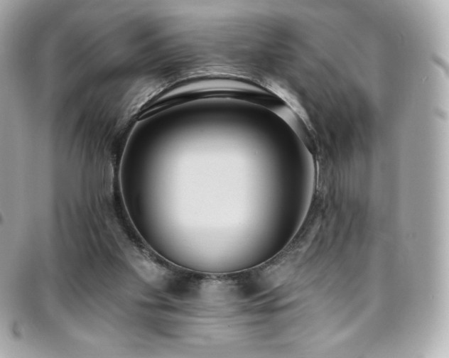 X0000096430109200801241347