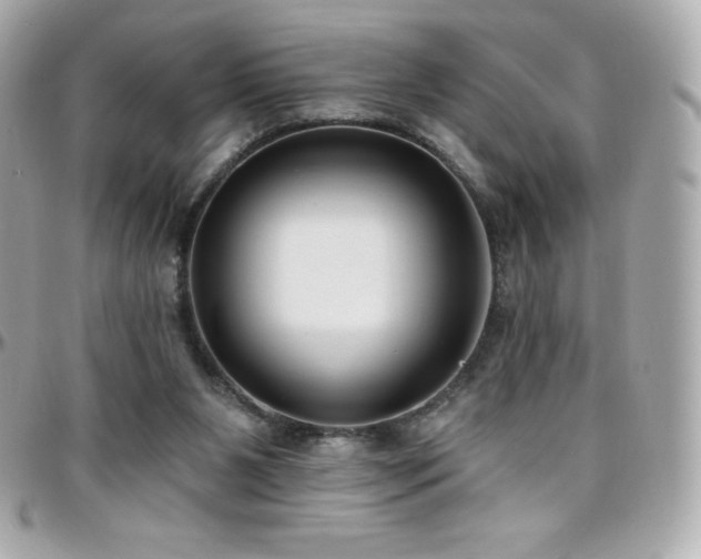 X0000096430111200801241347