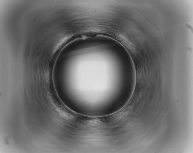 X0000096430112200801241347