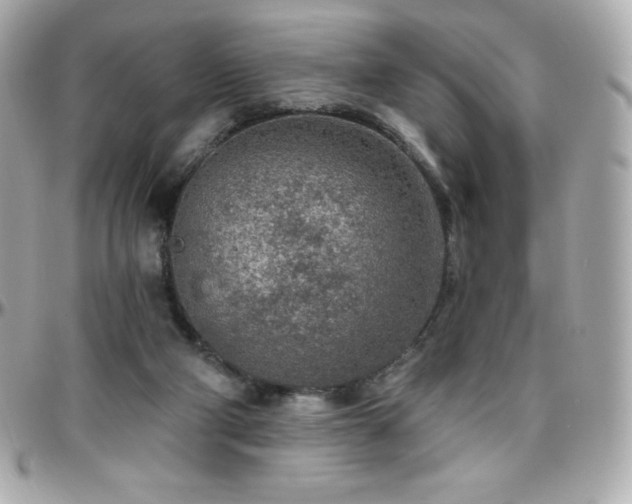 X0000096430114200801241347