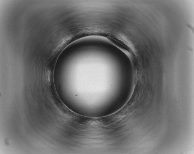 X0000096430115200801241347