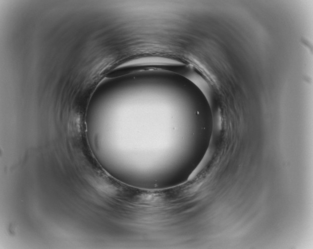 X0000096430117200801241347